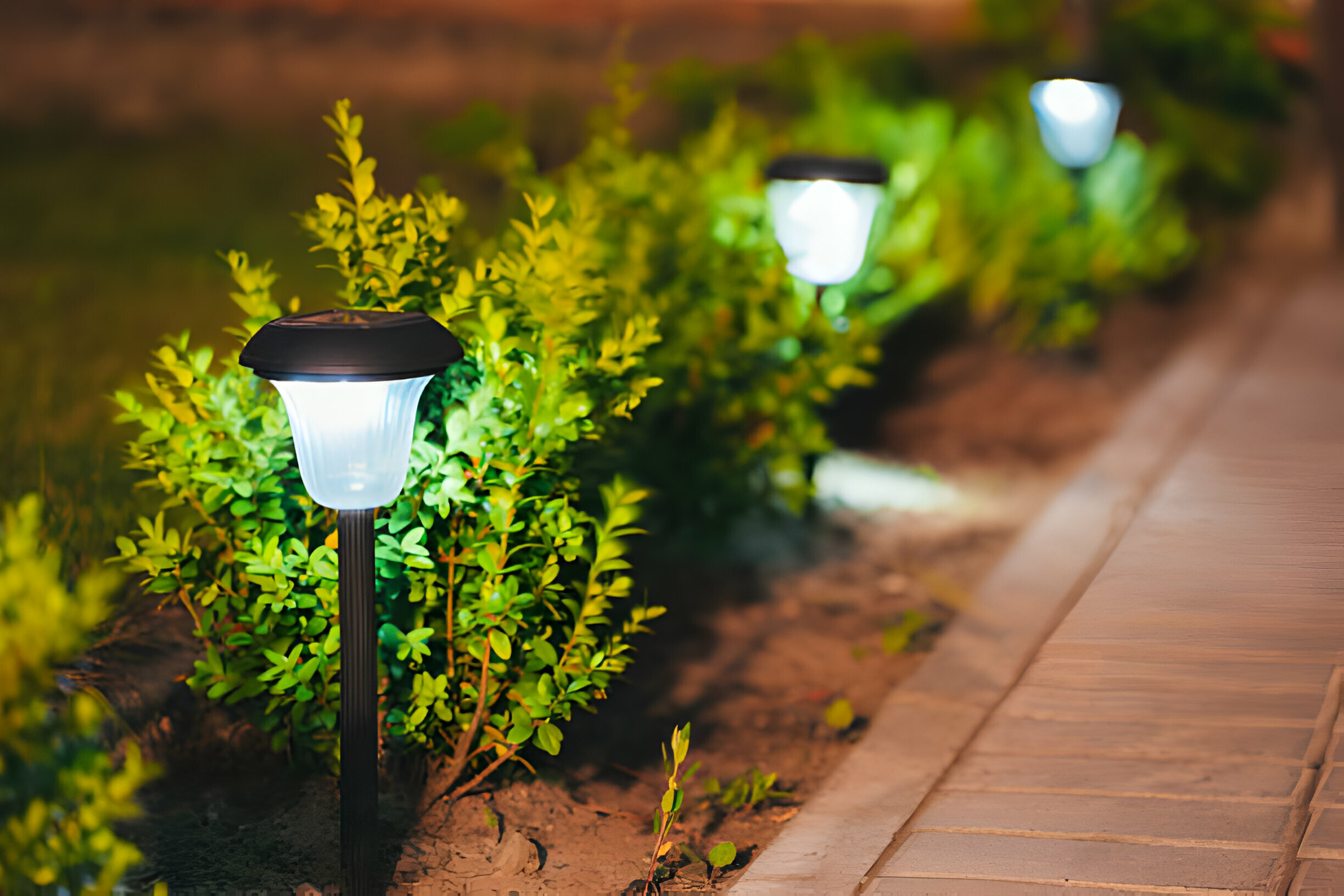 Garden lights